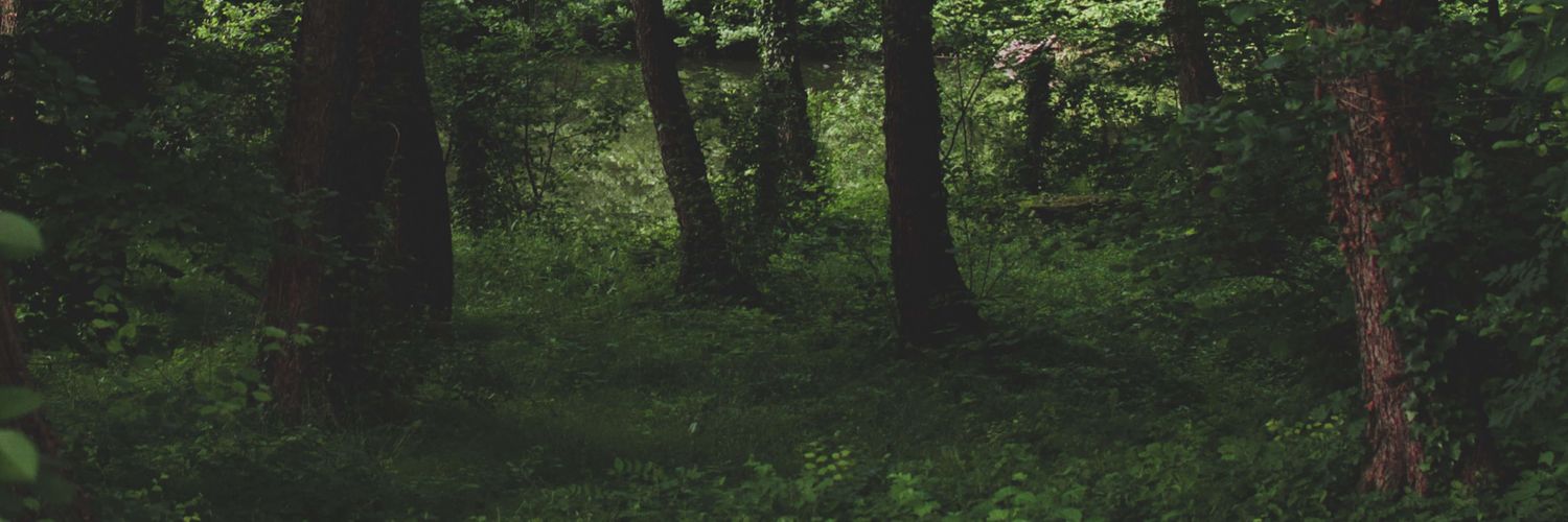 darkmnx09's profile banner image
