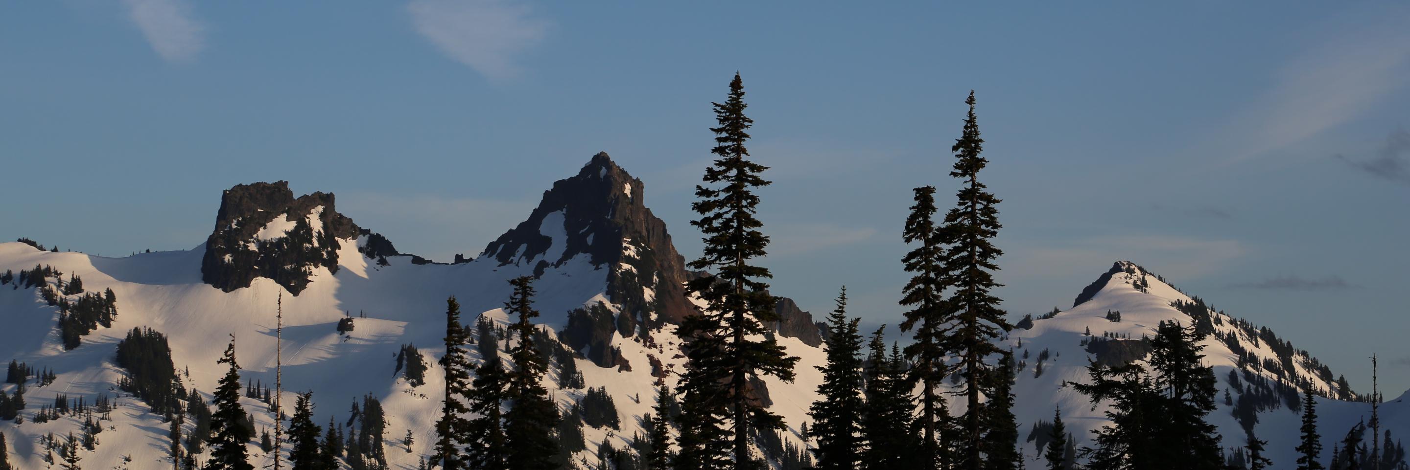 ChelWhite1's profile banner image