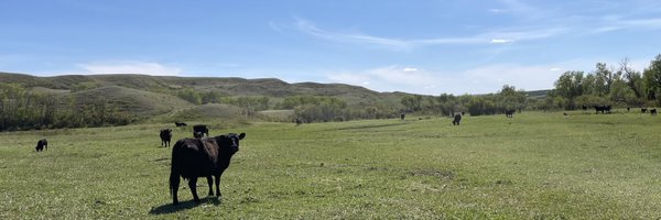 erintateson5 Profile Banner