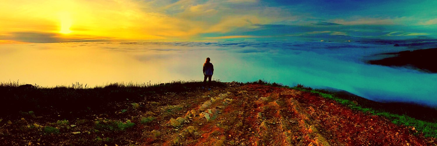 MaddyKSmith's profile banner image