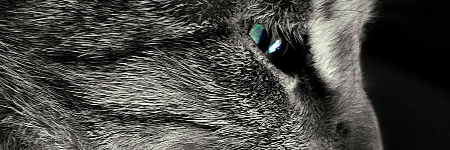 1realaffiliate's profile banner image
