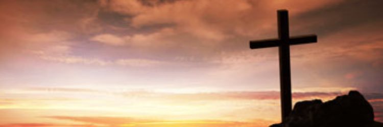 BauerGrant's profile banner image