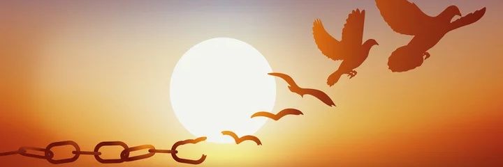 Débo 🇫🇷 banner