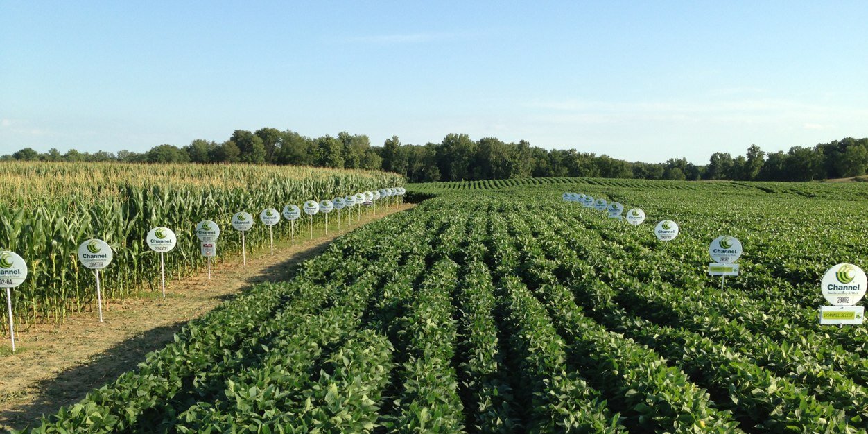 ChannelSeedGuy's profile banner image