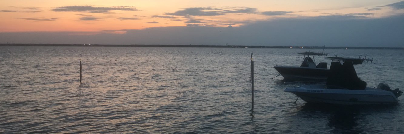 WillMedve's profile banner image