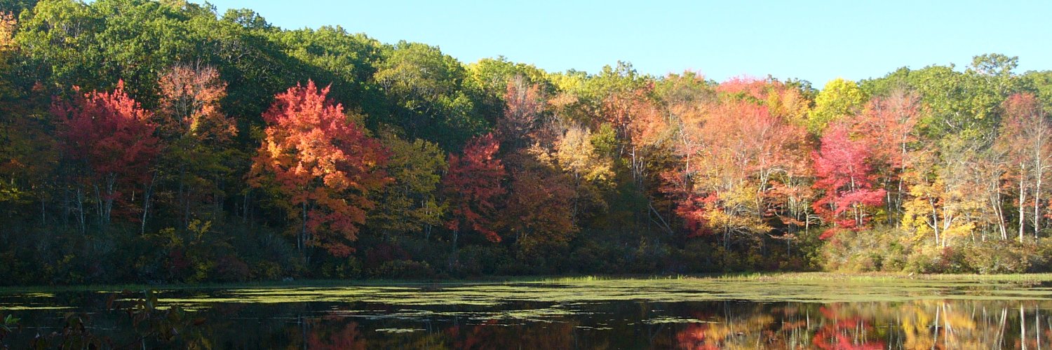 Brian Scassellati banner