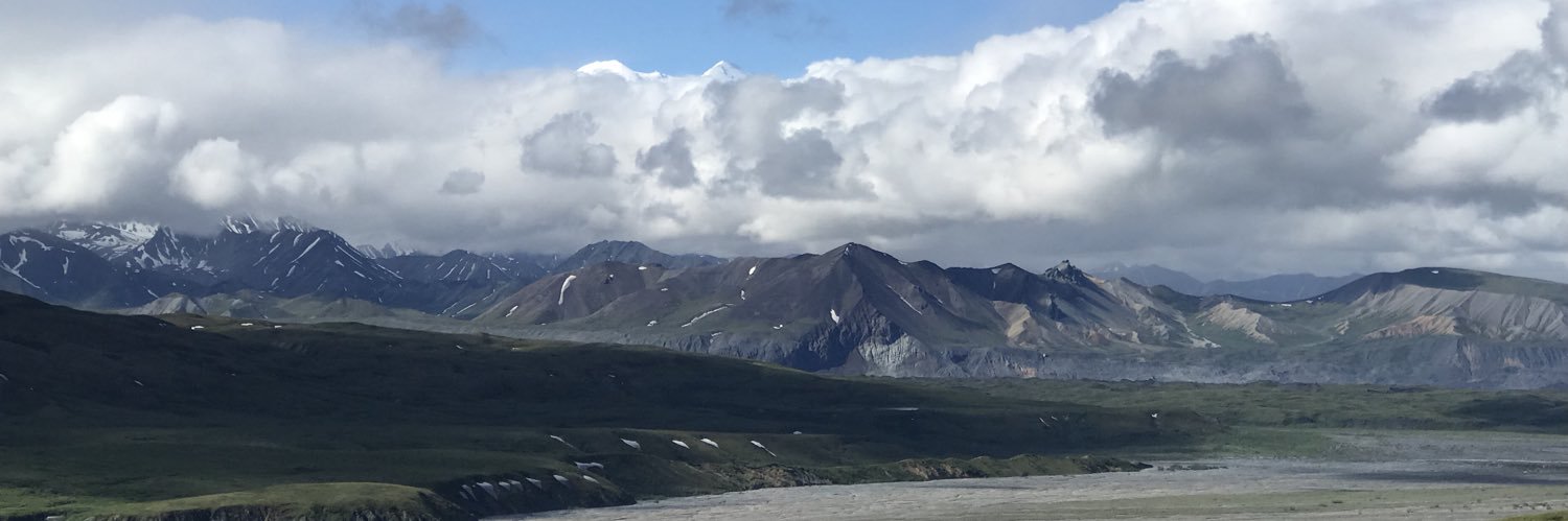 Scotty_Nuggssss's profile banner image