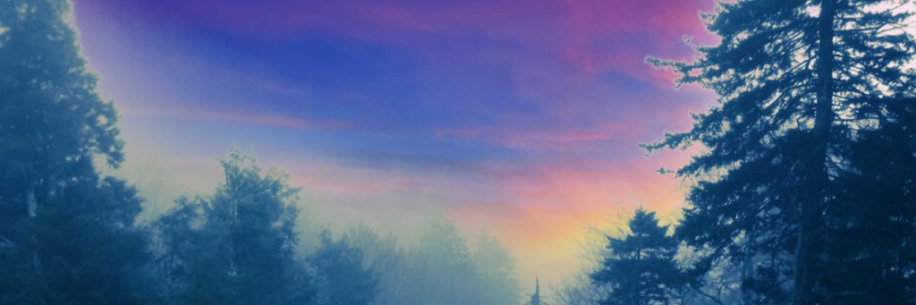 marissah14's profile banner image