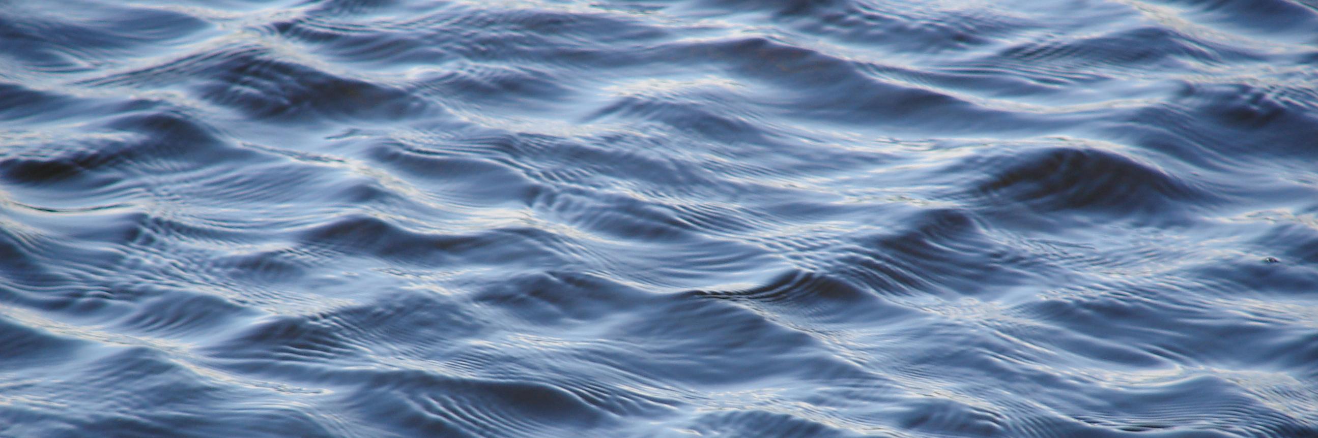 Pablo Cobelli banner