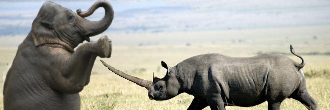 mortifiedنcentrist banner