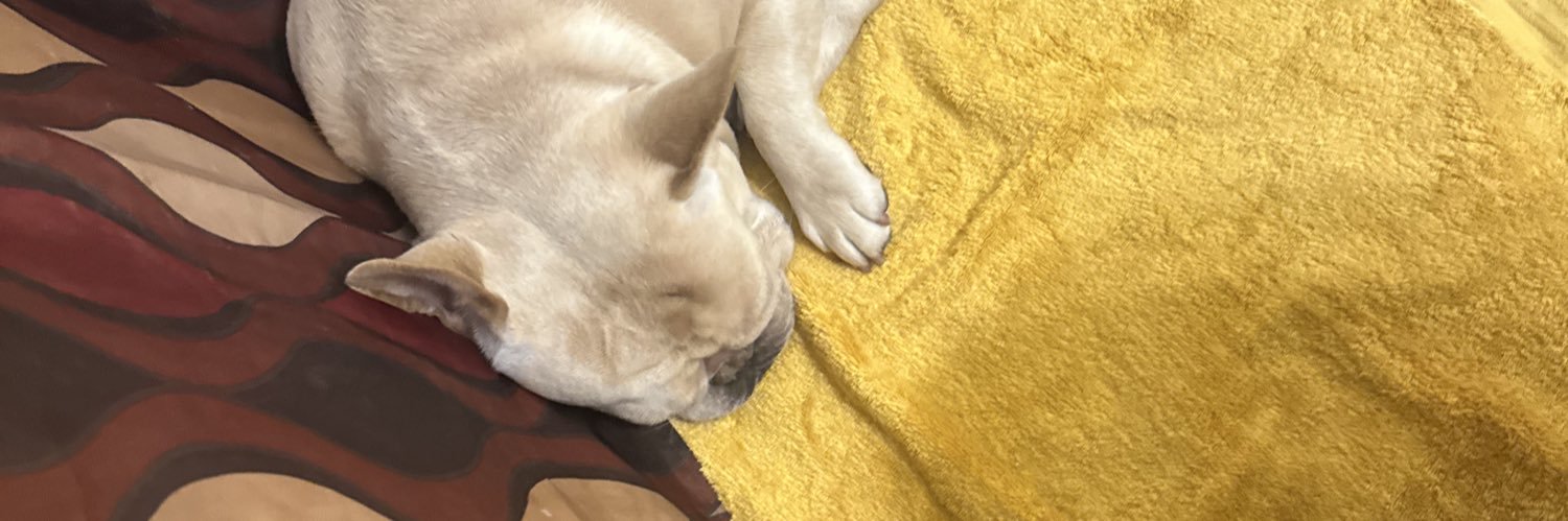 CasperCash👻💰 banner