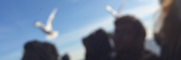 JKayWardarski Profile Banner