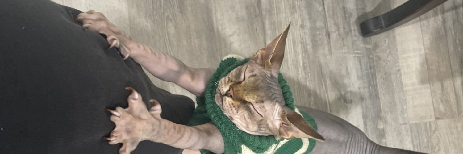 dobbychicken's profile banner image