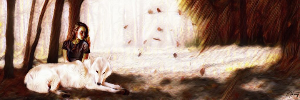 nikimaff's profile banner image