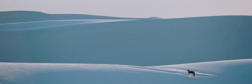 realgreg's profile banner image