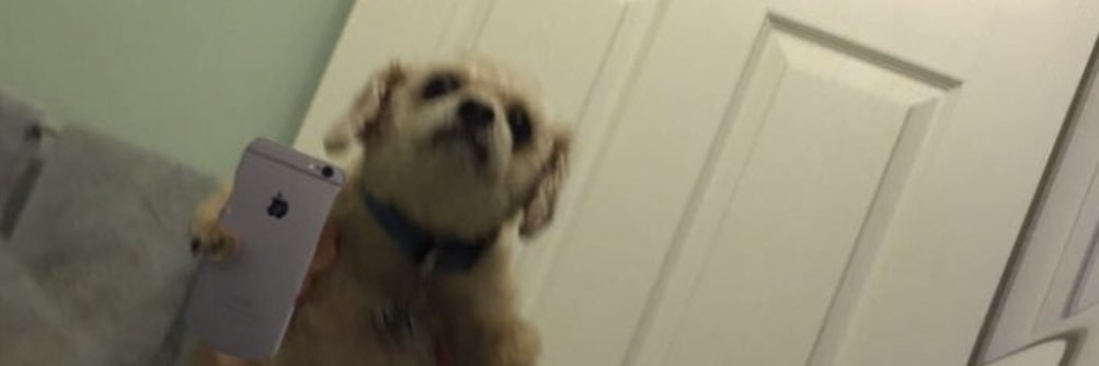 bgreweee's profile banner image