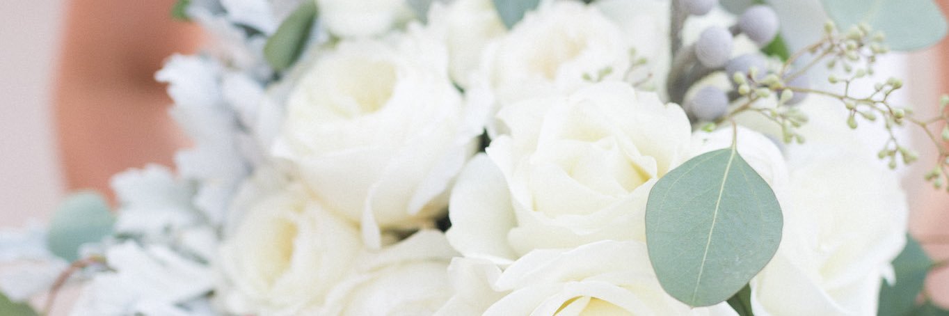 Alli_Gallagher's profile banner image