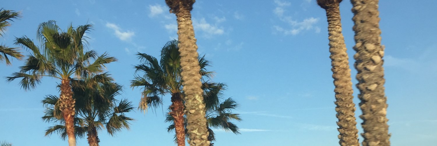 naemichelle_'s profile banner image