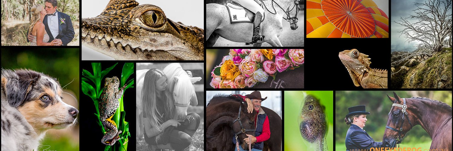 oneeyedfrog_'s profile banner image