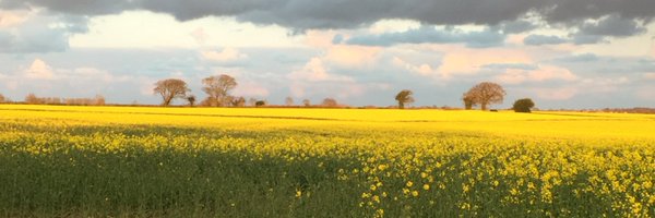 lucyhandley Profile Banner