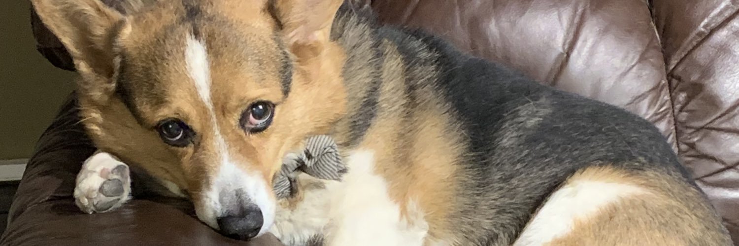 nerdgnostic's profile banner image