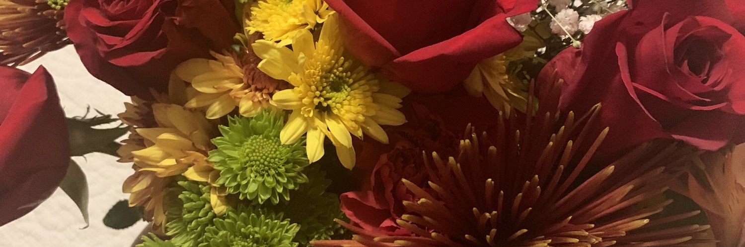 OlgaZarate1's profile banner image