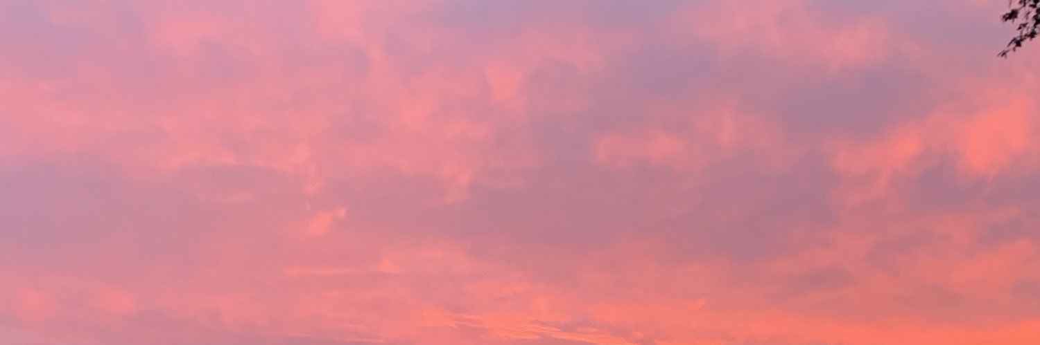 valedeferrari's profile banner image