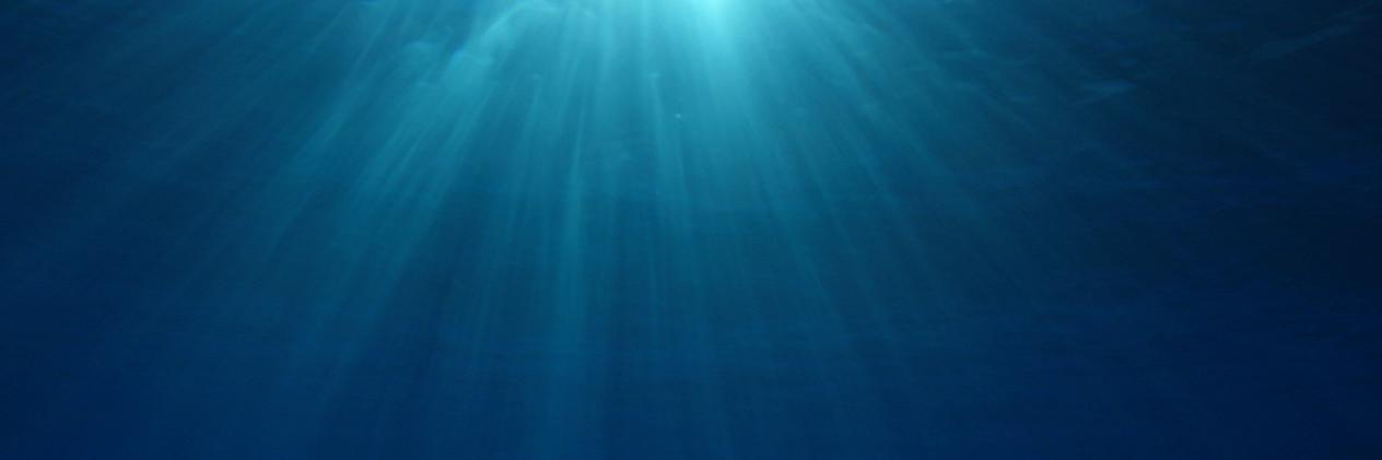 subnauta's profile banner image