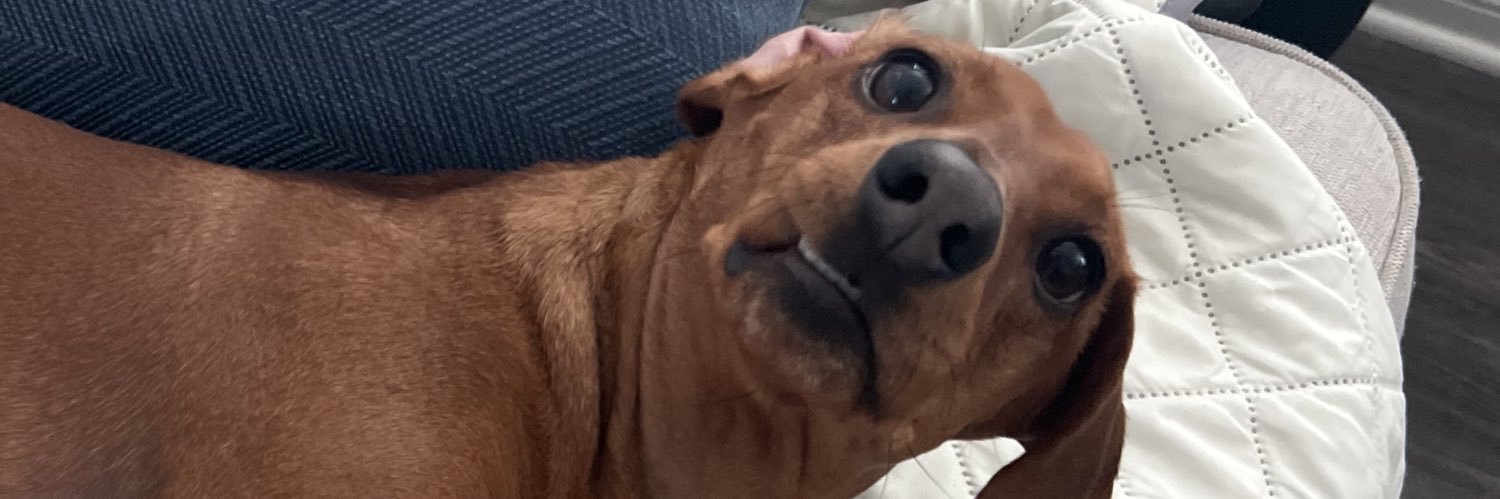 daniellelegend's profile banner image