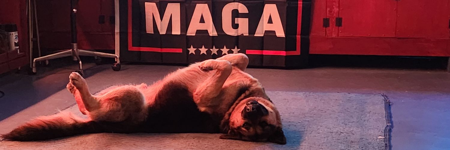VooYeck's profile banner image
