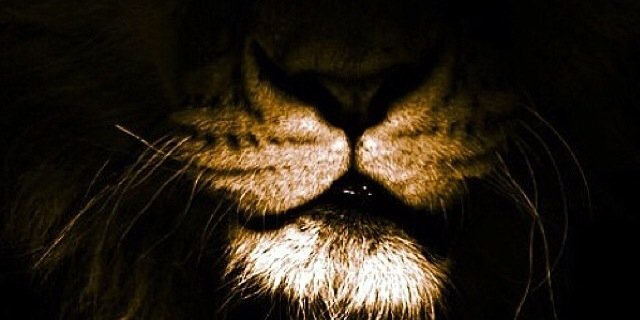 SlimGoody_22's profile banner image
