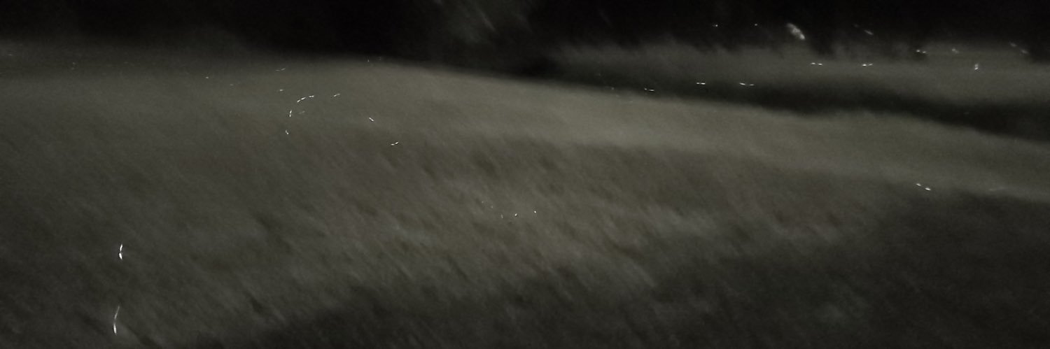 NatLMorrissey's profile banner image