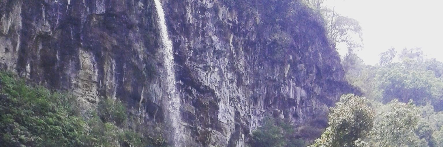 DandiMulyadi's profile banner image