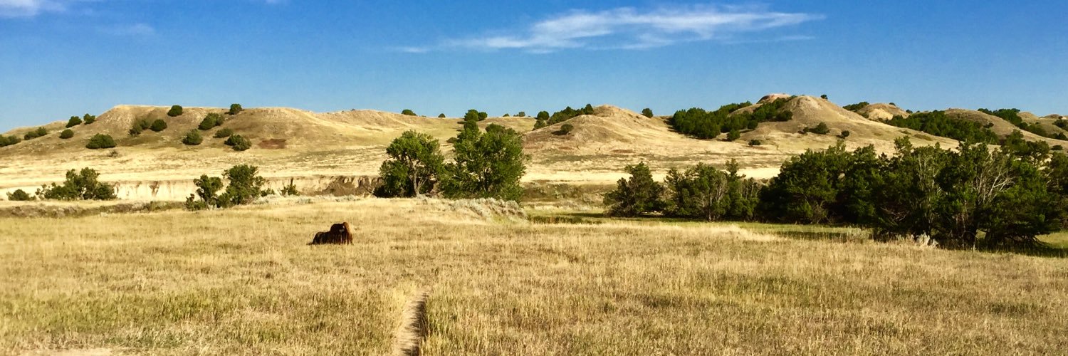 JacksonCurtin's profile banner image