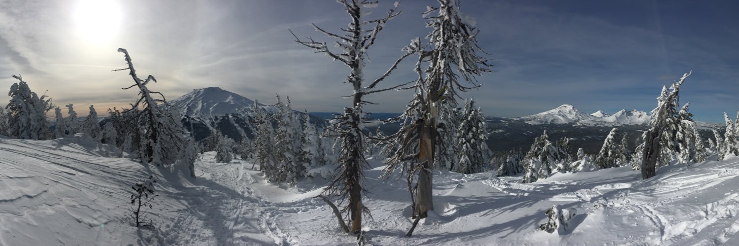 LaynePalmer's profile banner image