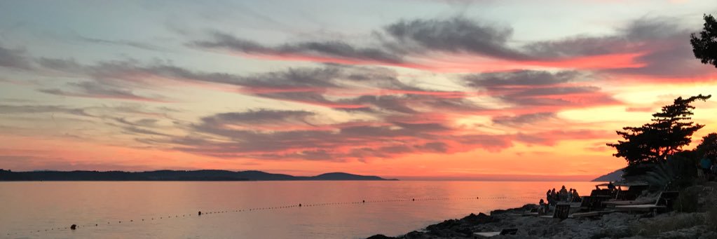 Mike Goscinski banner