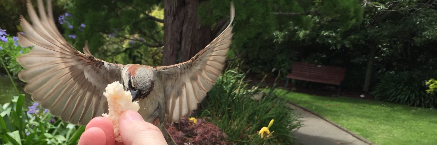 Shaun Clouston banner