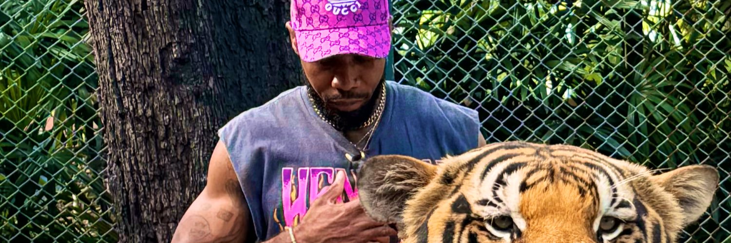 thacheatxcode's profile banner image
