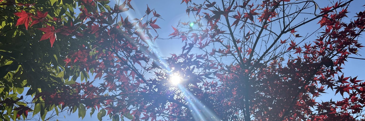 naoforit's profile banner image