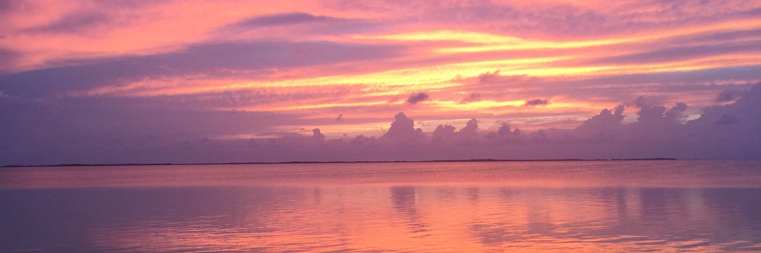 linzmac93's profile banner image