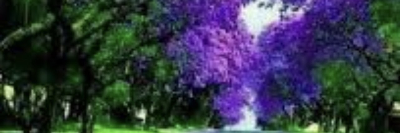 2a__z's profile banner image