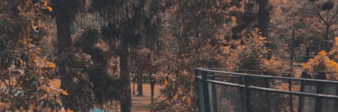 pykadochuu's profile banner image