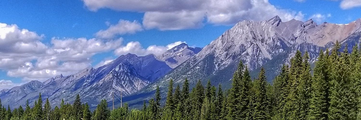 letsgrowit's profile banner image