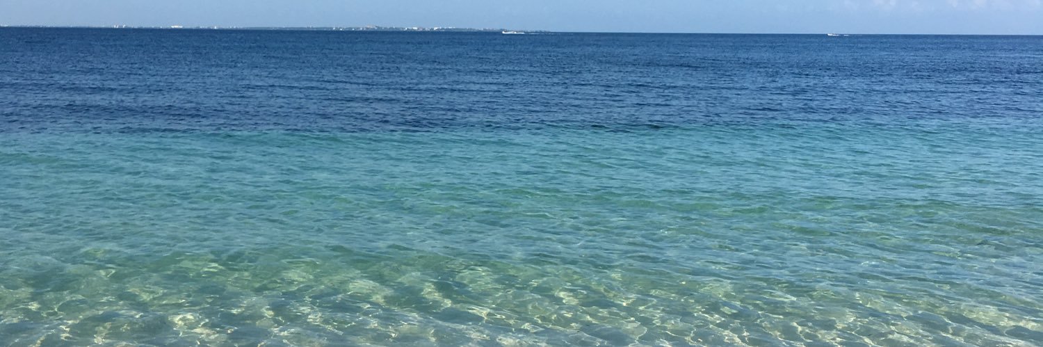 sandygabs's profile banner image
