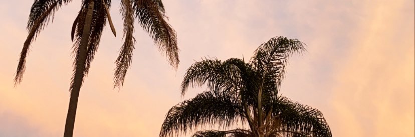 ta_certified's profile banner image