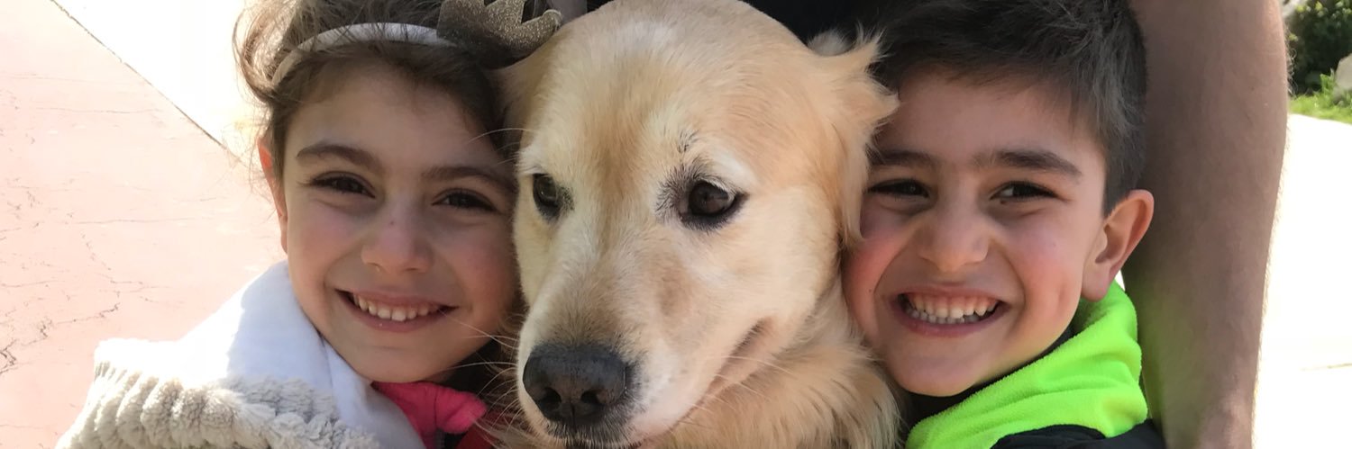 svglydn's profile banner image