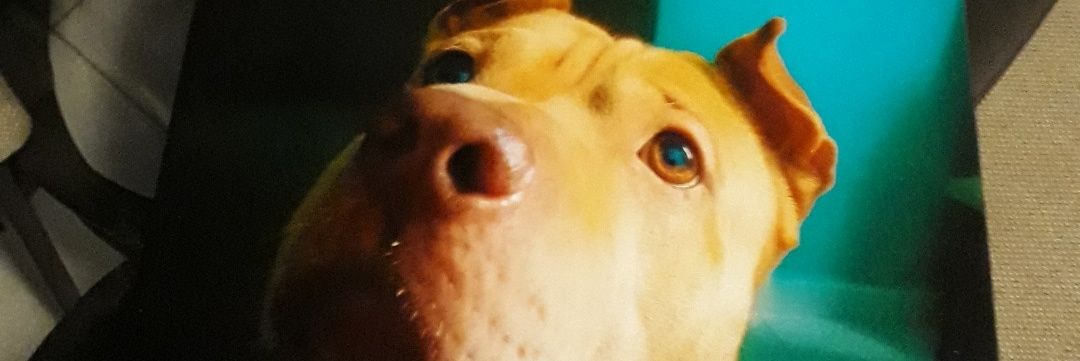 BraanMC's profile banner image