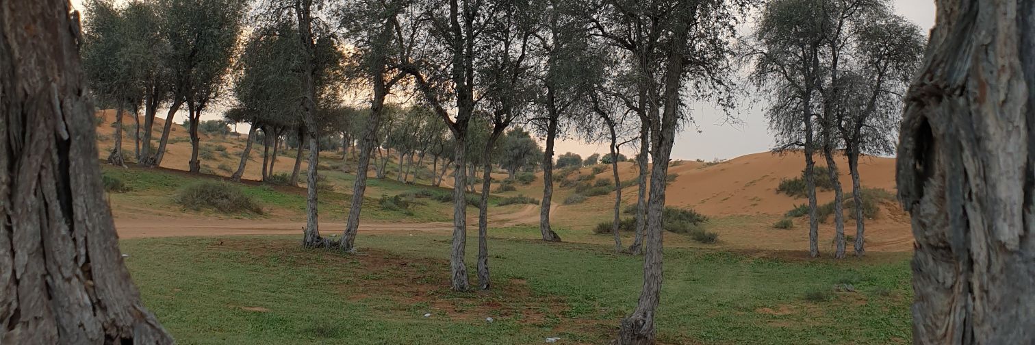 hayef2003's profile banner image