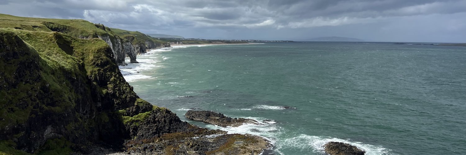 💙💛🇺🇦Michele 🏴‍☠️🦢🐣 🎵📚🍺 banner