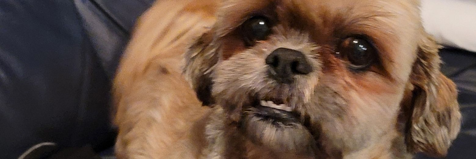 dj magic sean banner